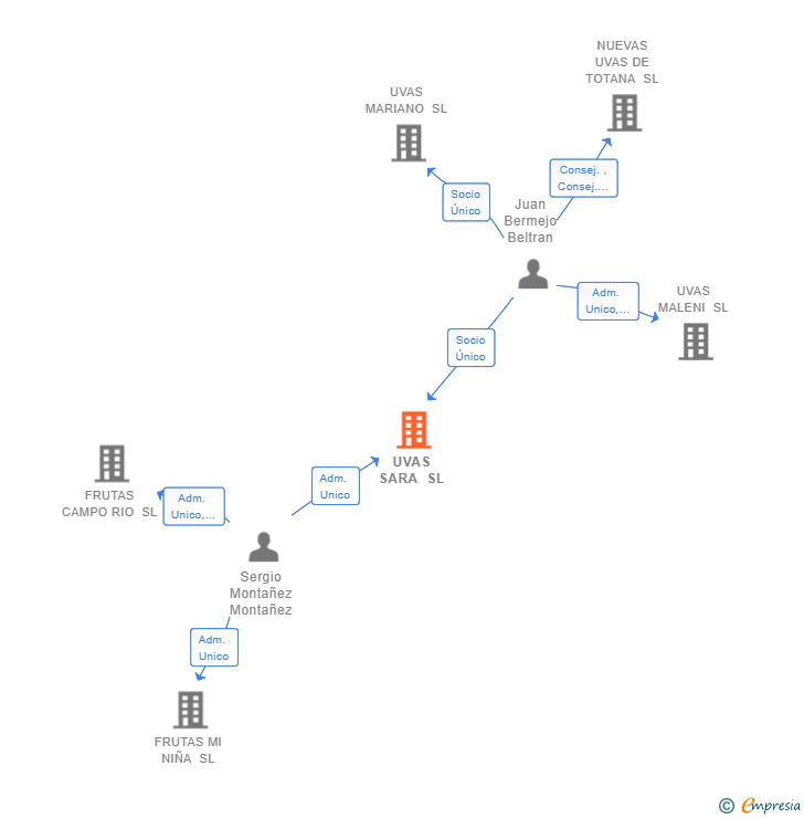 Vinculaciones societarias de UVAS SARA SL