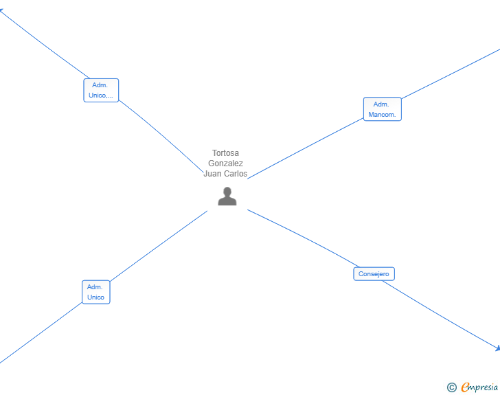 Vinculaciones societarias de OPENEX CORP SL