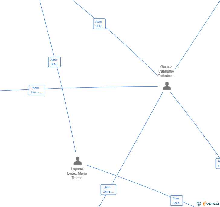Vinculaciones societarias de AGENCIA PROFESIONAL DE INTERMEDIACION BALAM SL (EXTINGUIDA)