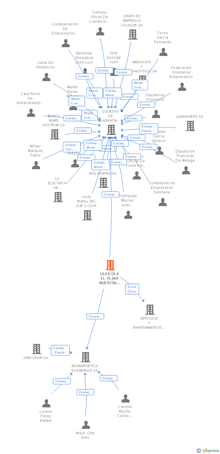 Vinculaciones societarias de OLEICOLA EL TEJAR NUESTRA SEÑORA DE ARACELI SCL