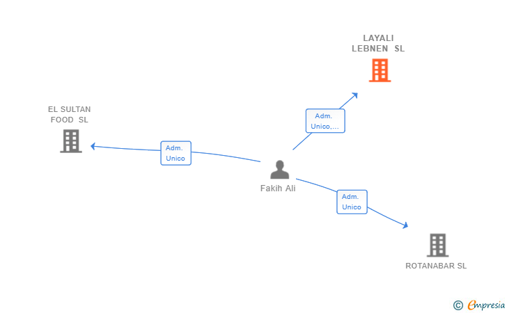 Vinculaciones societarias de LAYALI LEBNEN SL