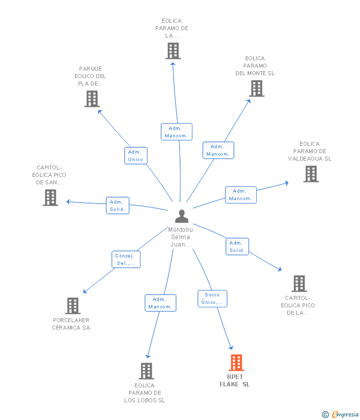 Vinculaciones societarias de RPET FLAKE SL