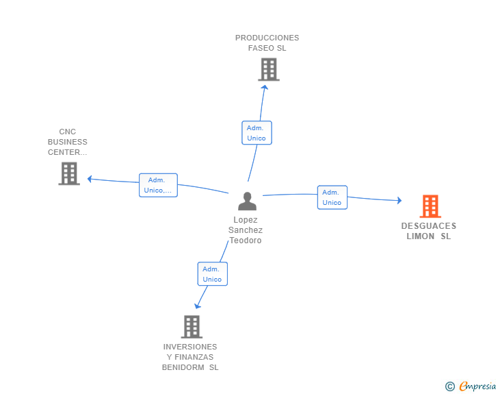 Vinculaciones societarias de DESGUACES LIMON SL