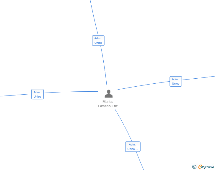 Vinculaciones societarias de MERLION INVESTMENT GROUP SL