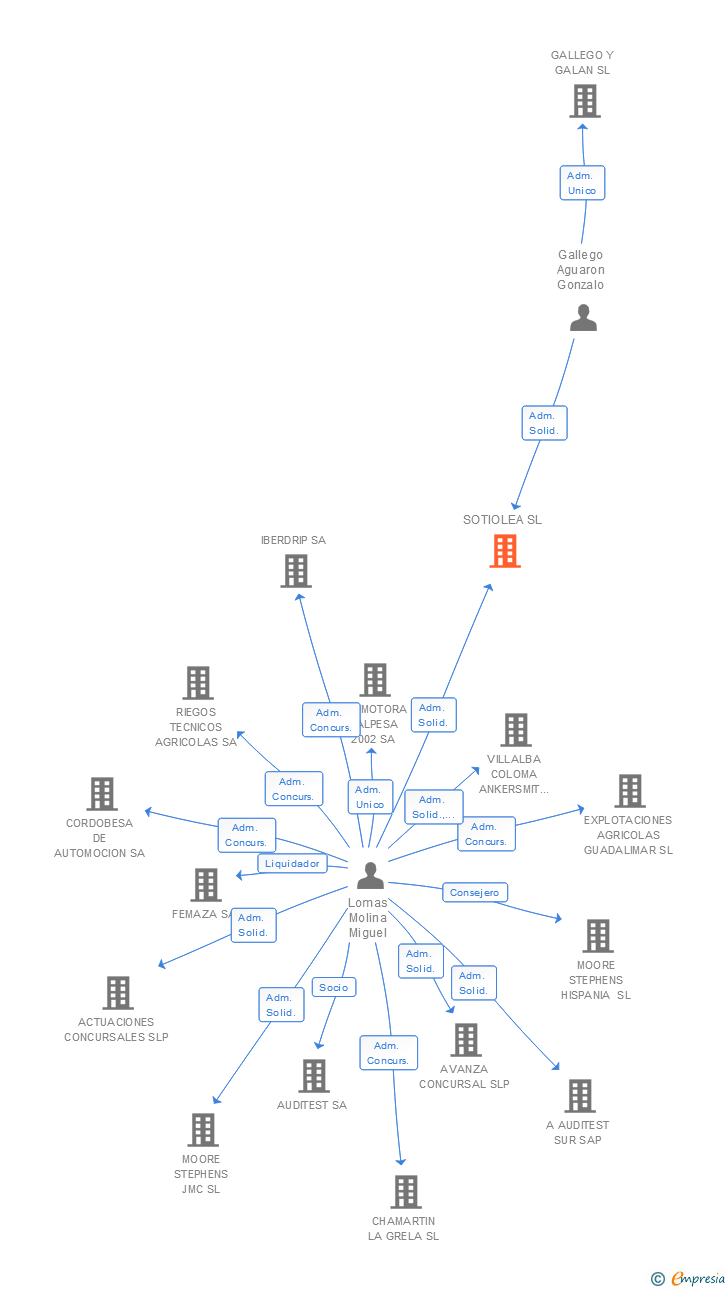 Vinculaciones societarias de SOTIOLEA SL
