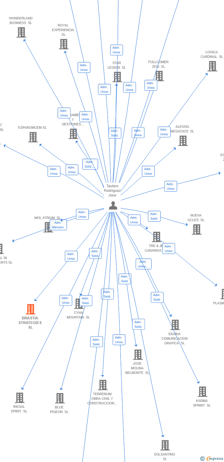 Vinculaciones societarias de BRASTIA STRATEGIES SL