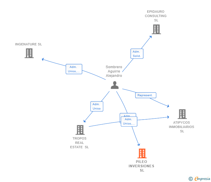 Vinculaciones societarias de PILEO INVERSIONES SL