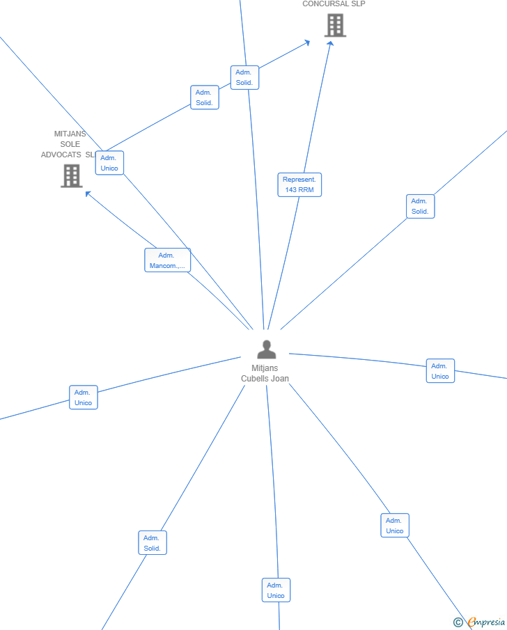 Vinculaciones societarias de MIMMIC DIGITAL VENTURES SL