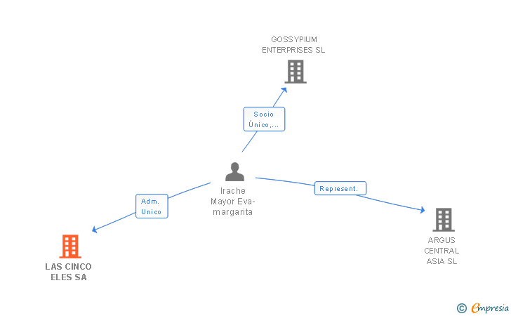 Vinculaciones societarias de LAS CINCO ELES SL