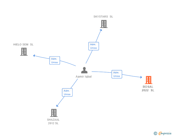 Vinculaciones societarias de BOSAL 2022 SL