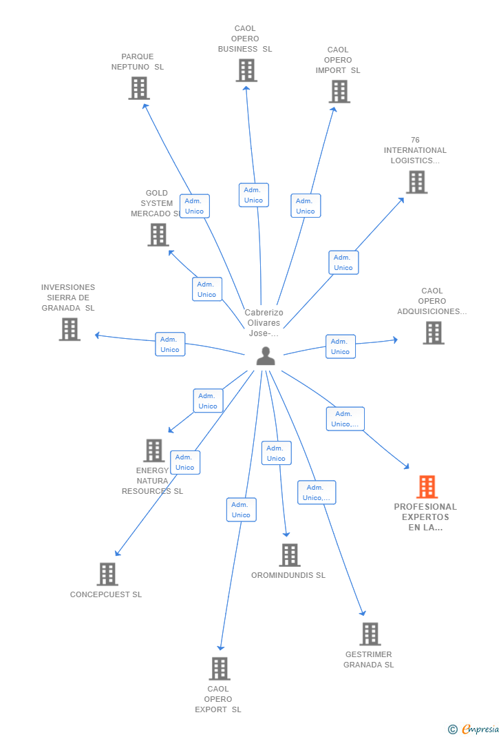 Vinculaciones societarias de PROFESIONAL EXPERTOS EN LA CONSTRUCCION SL