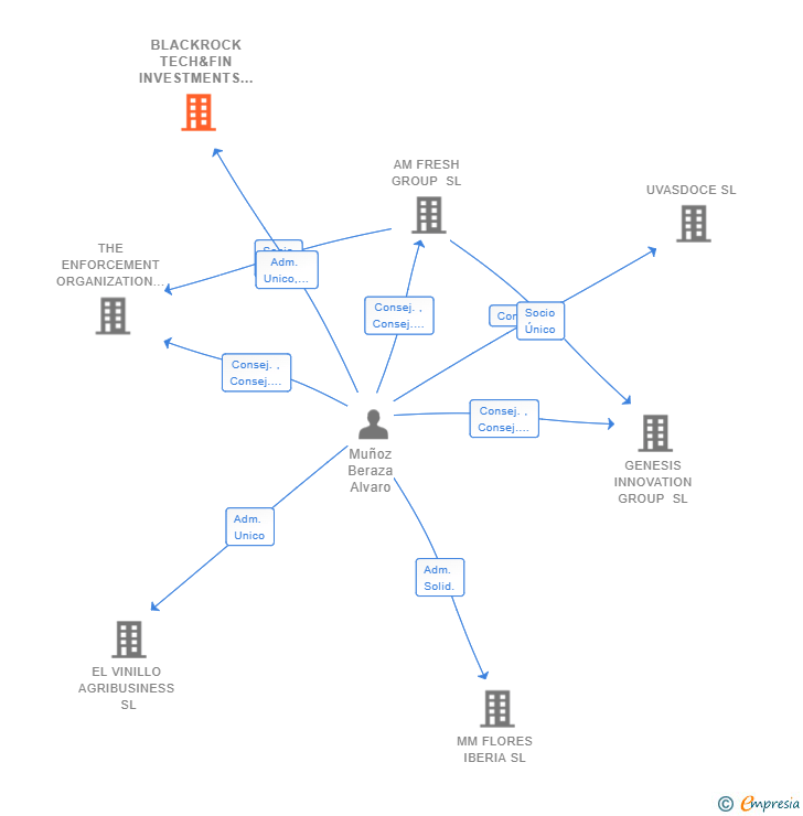 Vinculaciones societarias de BLACKROCK TECH&FIN INVESTMENTS SL
