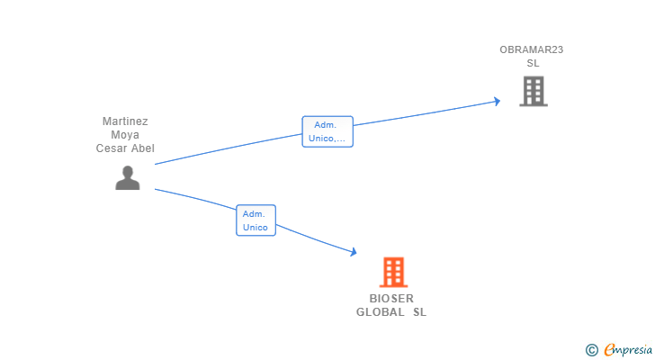 Vinculaciones societarias de BIOSER GLOBAL SL