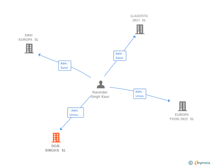 Vinculaciones societarias de DGR SINGHS SL