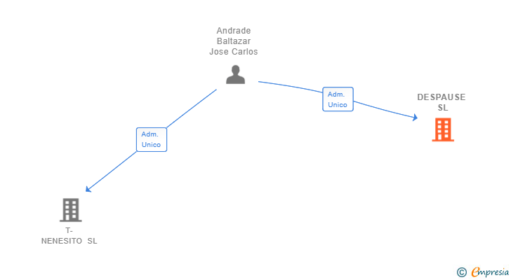 Vinculaciones societarias de DESPAUSE SL