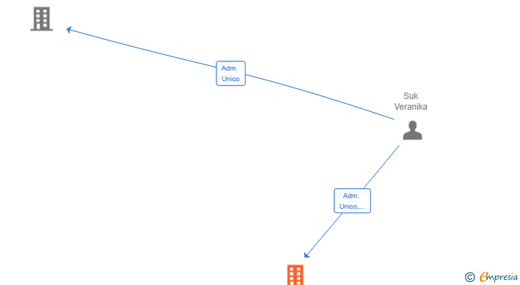 Vinculaciones societarias de GARAJE SUK 2025 SL