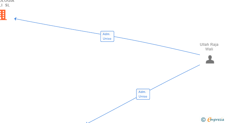 Vinculaciones societarias de TECNOLOGIA WALI SL