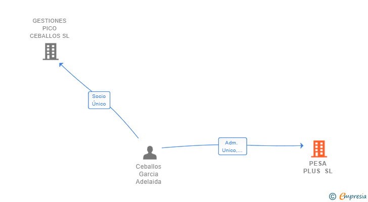 Vinculaciones societarias de PESA PLUS SL