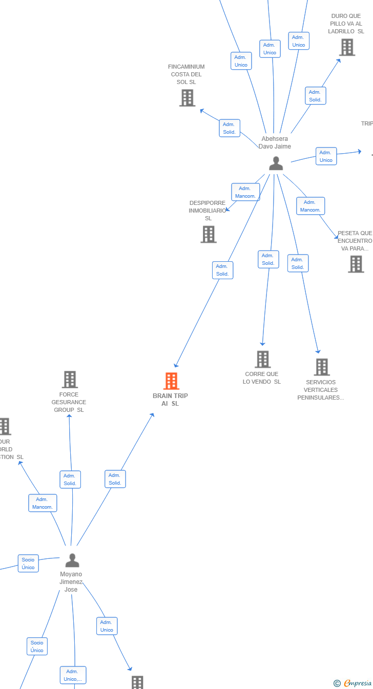 Vinculaciones societarias de BRAIN TRIP AI SL
