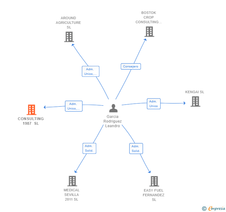 Vinculaciones societarias de CONSULTING 1987 SL