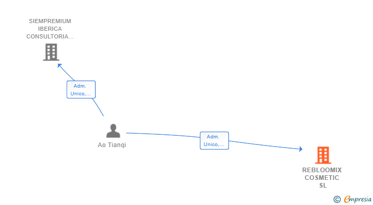 Vinculaciones societarias de REBLOOMIX COSMETIC SL