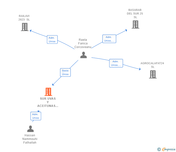 Vinculaciones societarias de SUR UVAS Y ACEITUNAS SL