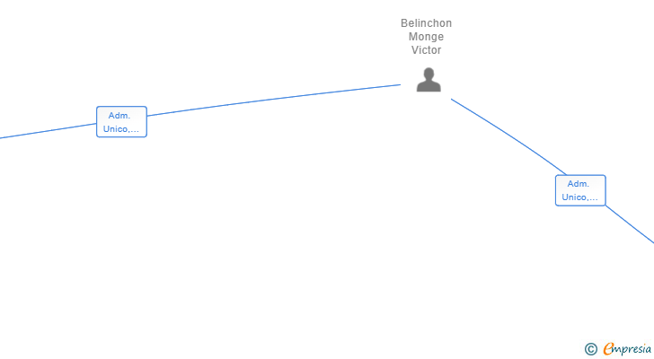 Vinculaciones societarias de CALSER XXI SL