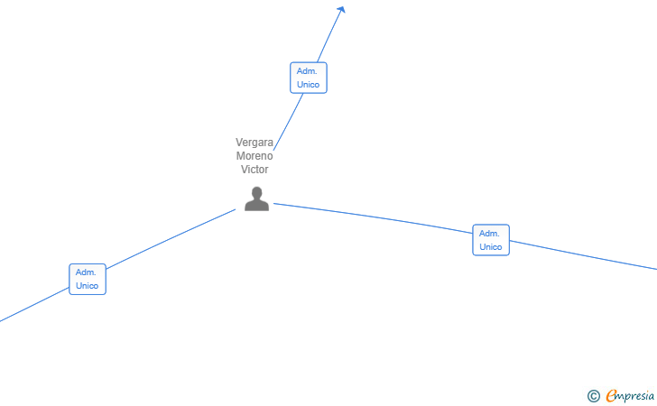 Vinculaciones societarias de VIGERCO SOLUTIONS SL