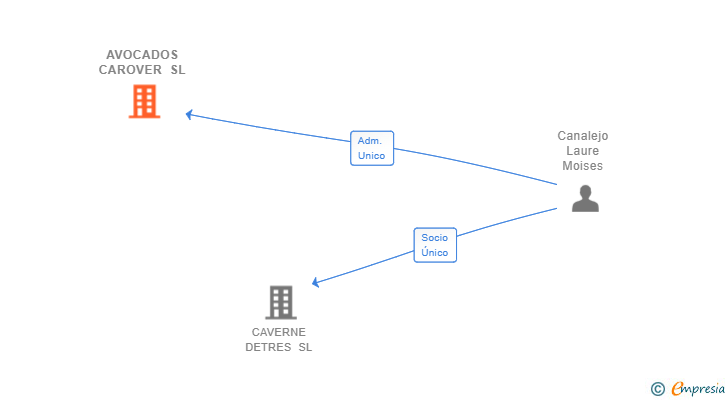 Vinculaciones societarias de AVOCADOS CAROVER SL
