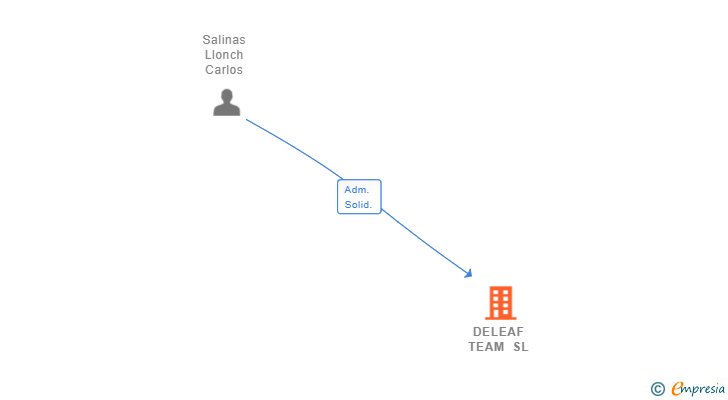 Vinculaciones societarias de DELEAF TEAM SL