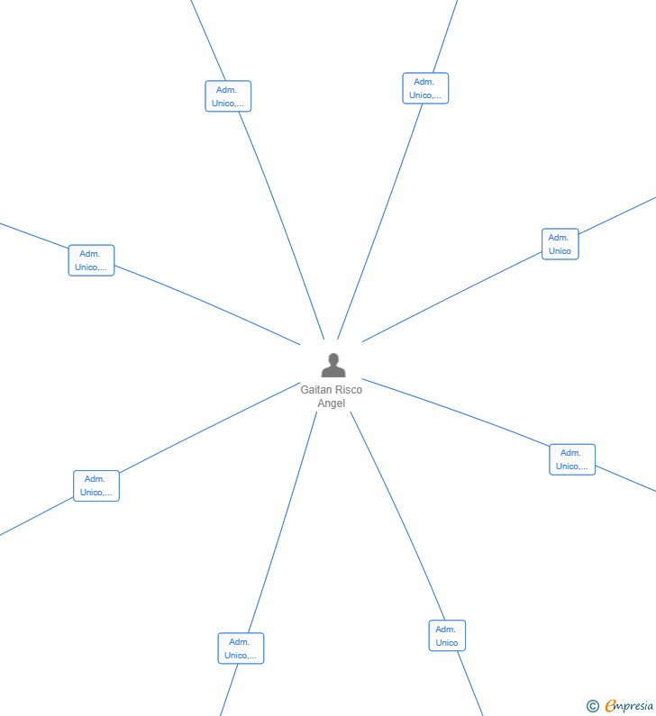 Vinculaciones societarias de DRIVECONTROL SERVICIOS SL