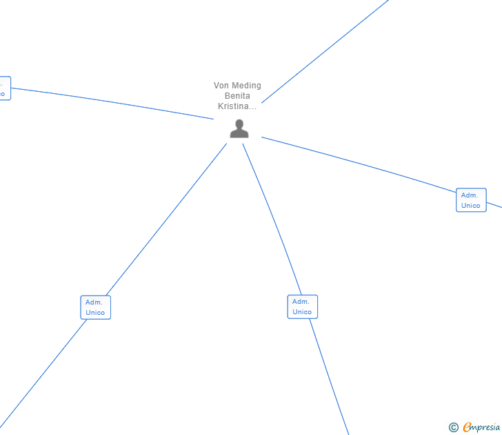 Vinculaciones societarias de VILLA MIMOSAS SL