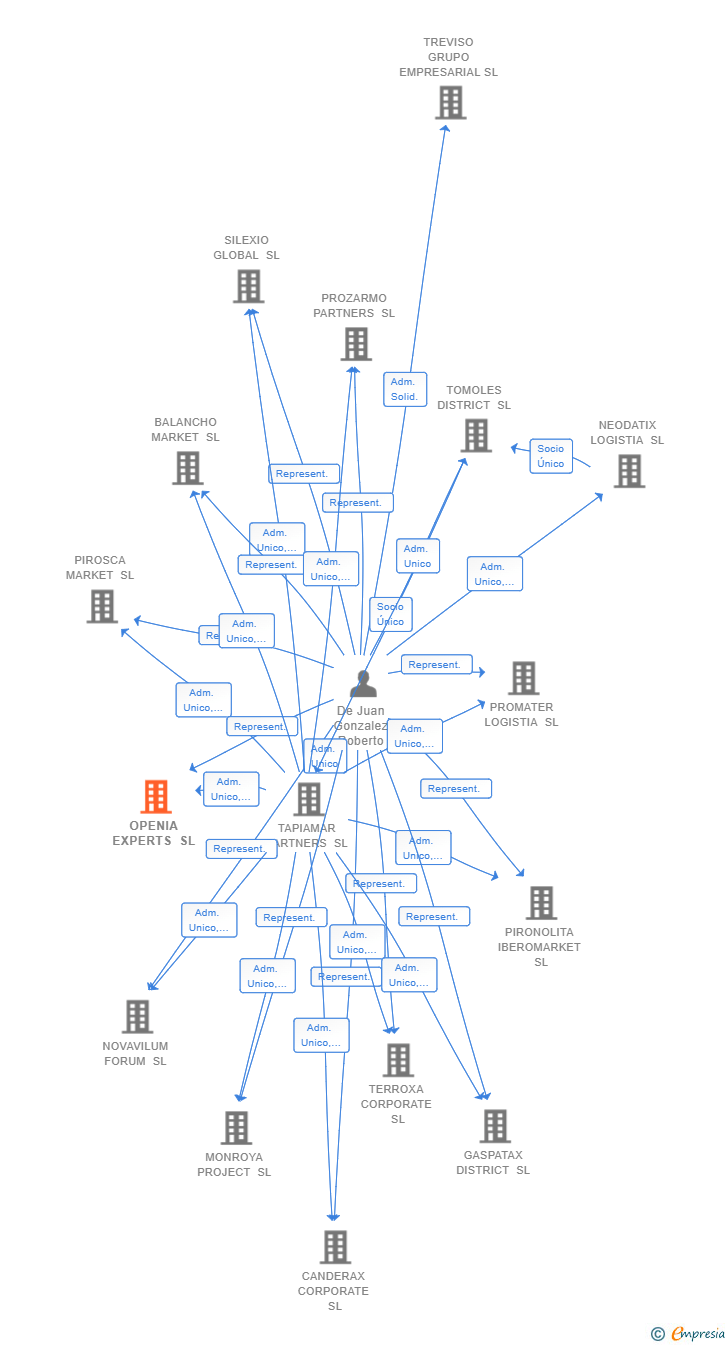 Vinculaciones societarias de OPENIA EXPERTS SL