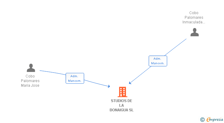 Vinculaciones societarias de STUDIOS DE LA BONAIGUA SL