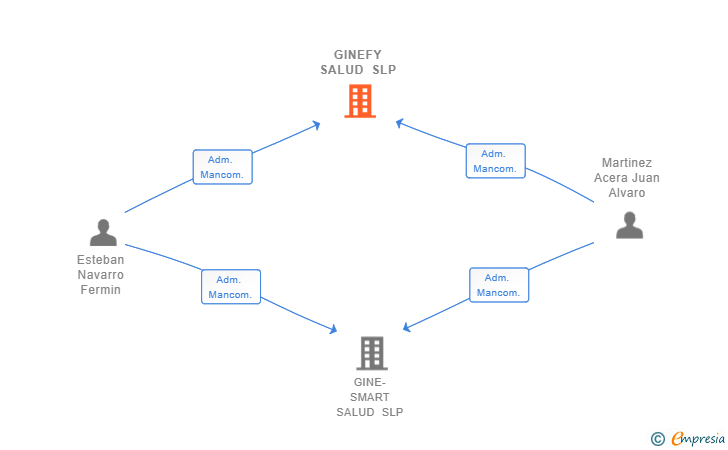 Vinculaciones societarias de GINEFY SALUD SLP