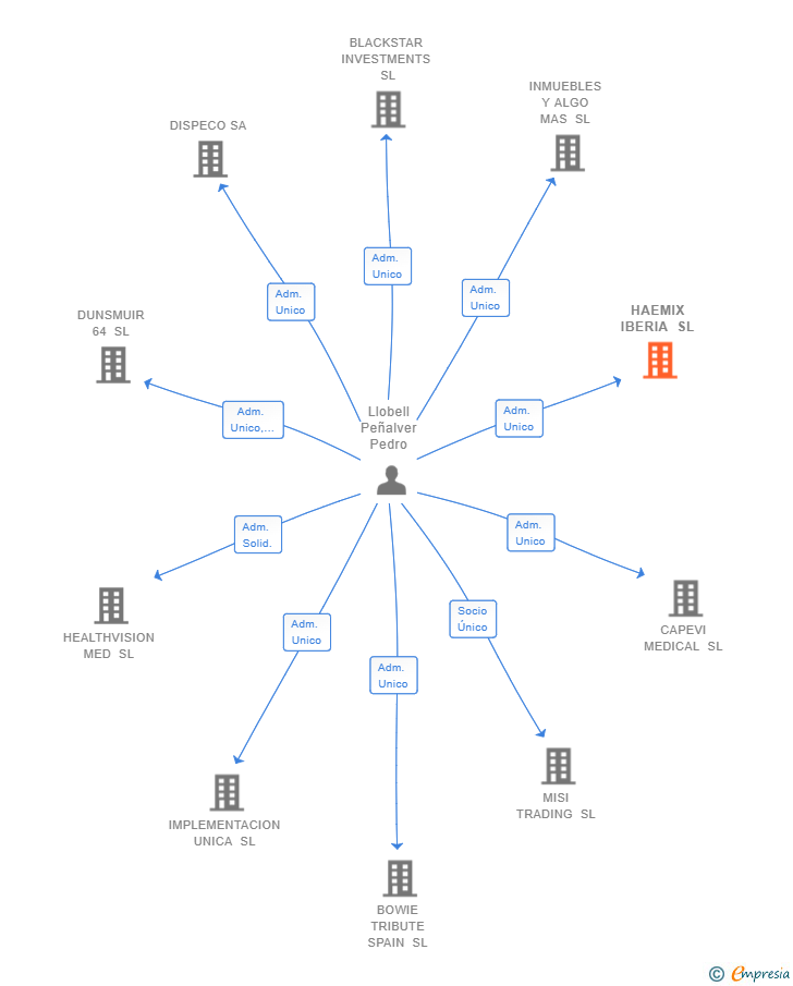 Vinculaciones societarias de HAEMIX IBERIA SL