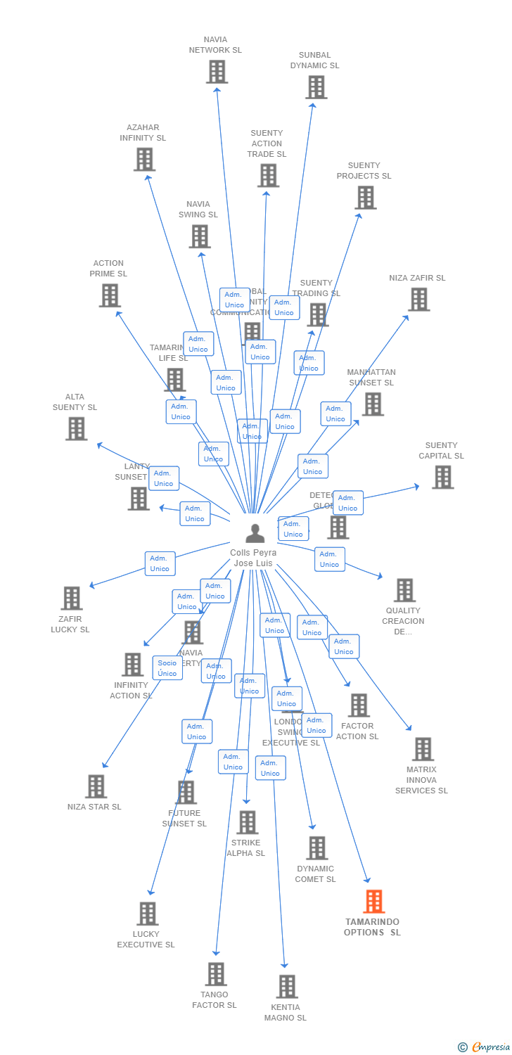 Vinculaciones societarias de TAMARINDO OPTIONS SL