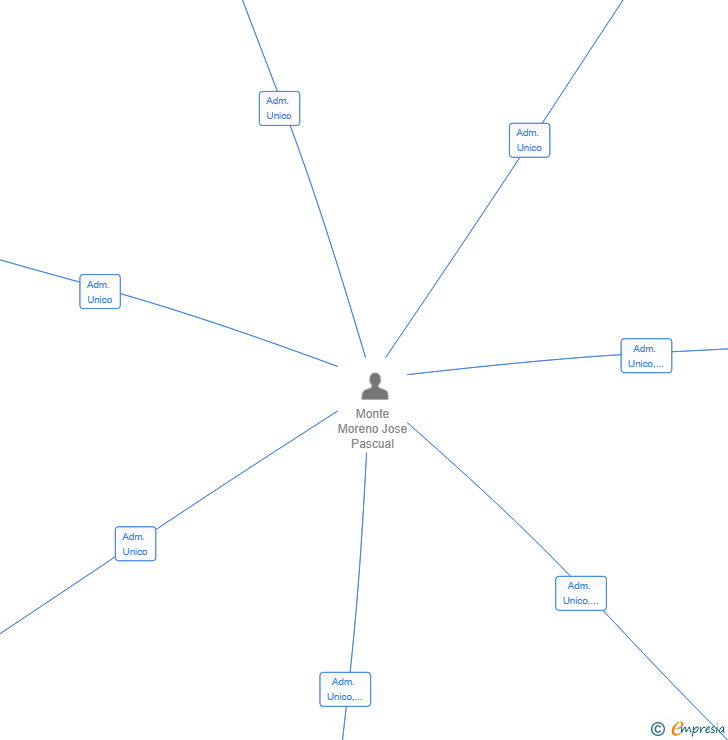 Vinculaciones societarias de LOCALIA MULTISERVICIOS Y MANTENIMIENTOS SL