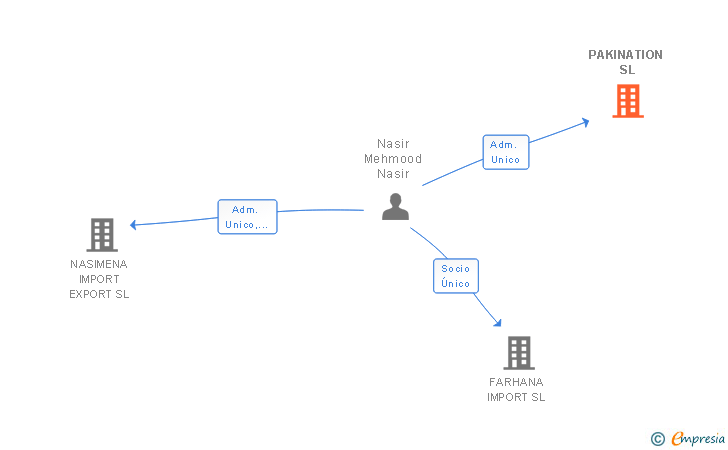 Vinculaciones societarias de PAKINATION SL