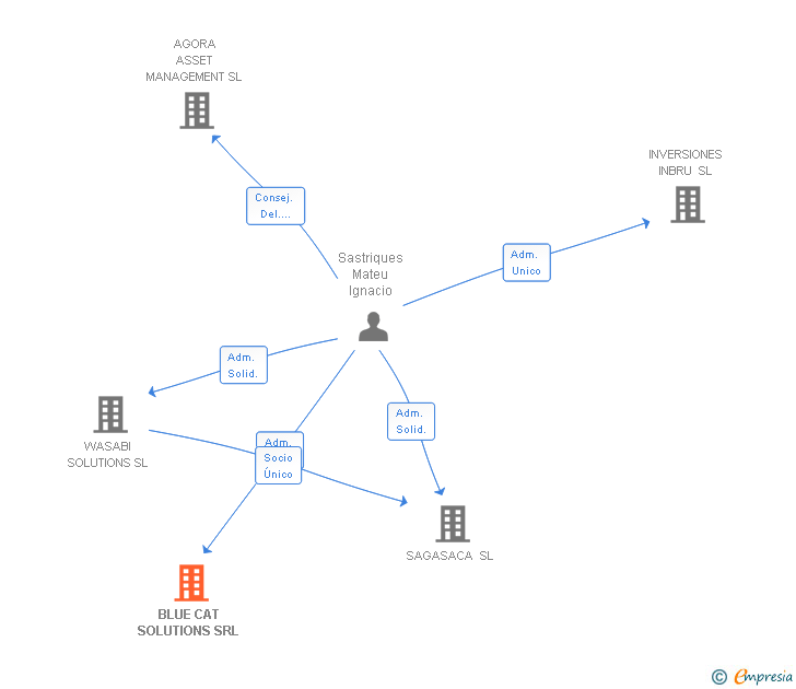 Vinculaciones societarias de BLUE CAT SOLUTIONS SRL