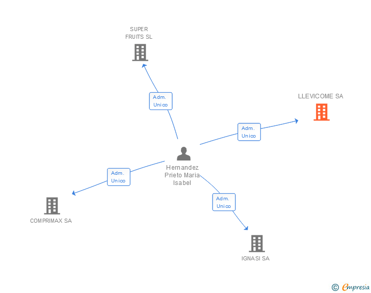 Vinculaciones societarias de LLEVICOME SA