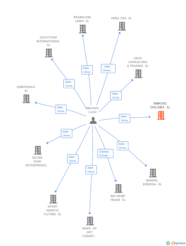 Vinculaciones societarias de INMOBIL DREAMS SL