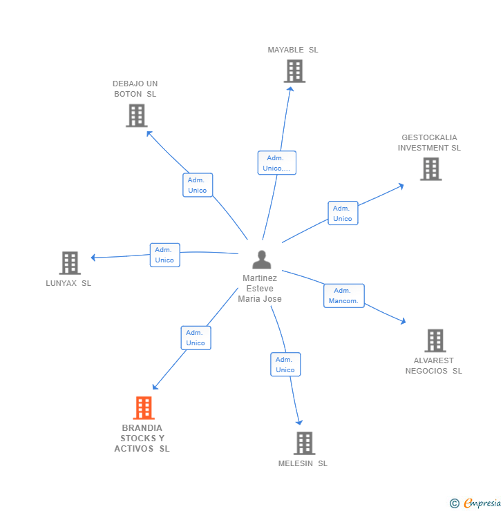 Vinculaciones societarias de BRANDIA STOCKS Y ACTIVOS SL