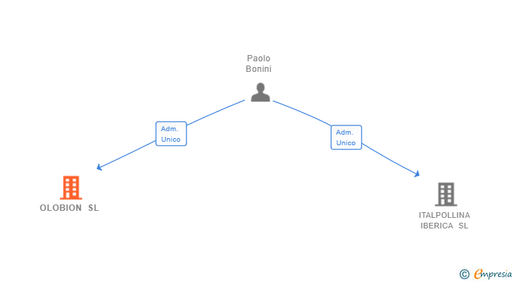 Vinculaciones societarias de OLOBION SL