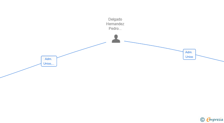 Vinculaciones societarias de DELYU SERVICIOS SL