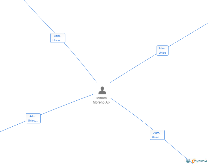 Vinculaciones societarias de ACM ACTIVOS SL