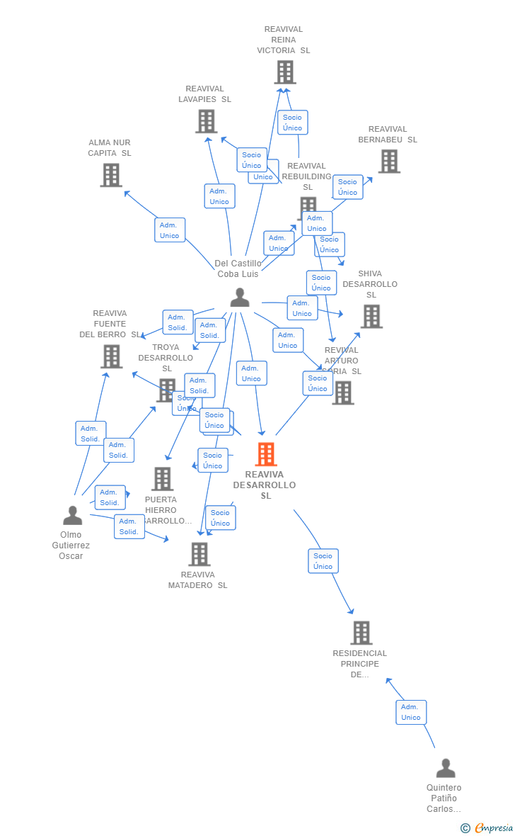 Vinculaciones societarias de REAVIVA DESARROLLO SL