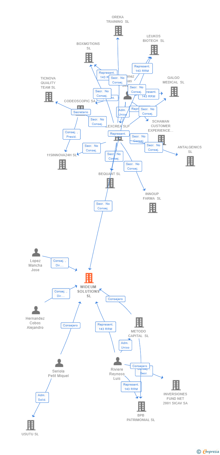 Vinculaciones societarias de WIDEUM SOLUTIONS SL