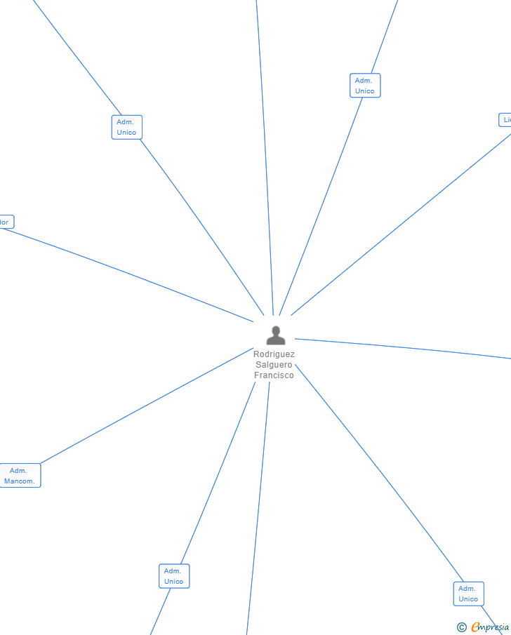 Vinculaciones societarias de WONDERDATA SL