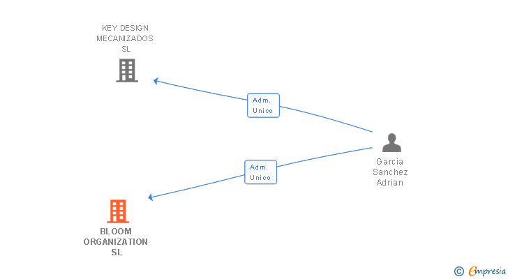 Vinculaciones societarias de BLOOM ORGANIZATION SL